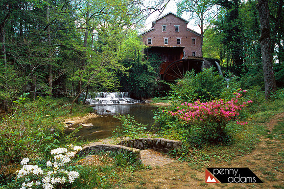 Falls Mill, Belvidere, Tennessee