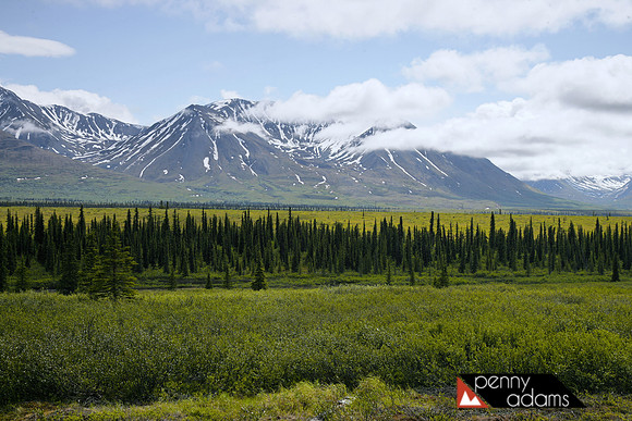 Scenery Along the Denali Highway, Alaska