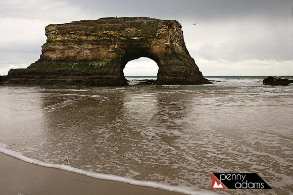 Natural Bridges State Park, Santa Cruz, California
