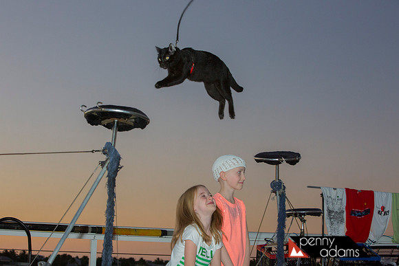 The Cat Man of Key West