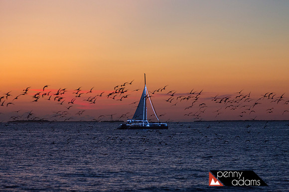 Sailboat at Dusk, Key West, Florida