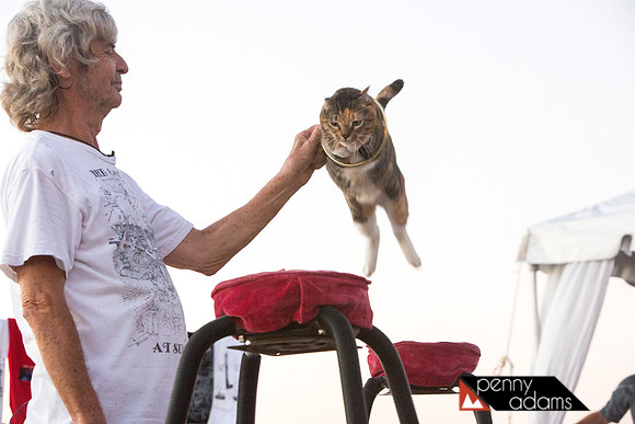 The Cat Man of Key West