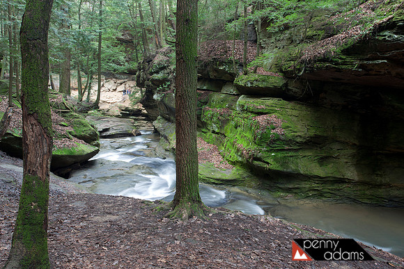 Gorge in Old Man's Cave Area, Hocking Hills State Park, Ohio