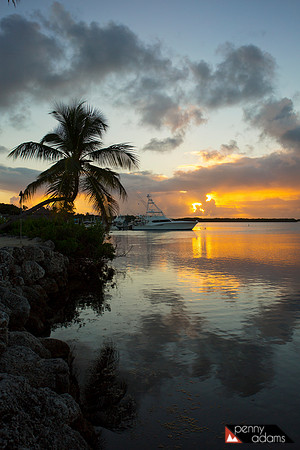 Palm Sunset, Islamorada