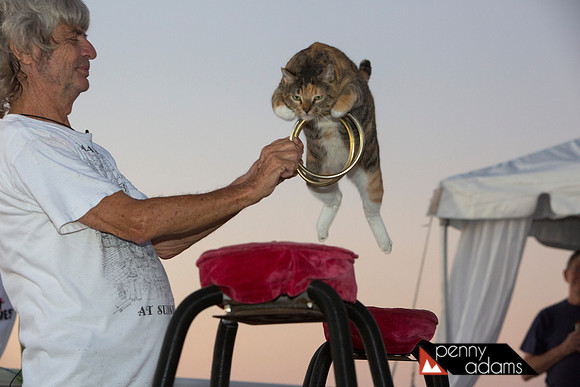 The Cat Man of Key West