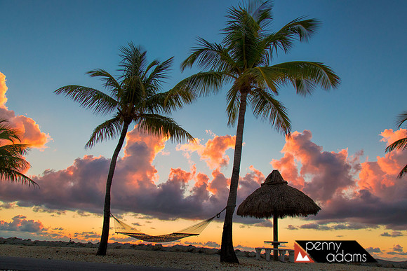 Hammock at Sunrise, Islamorada, Florida