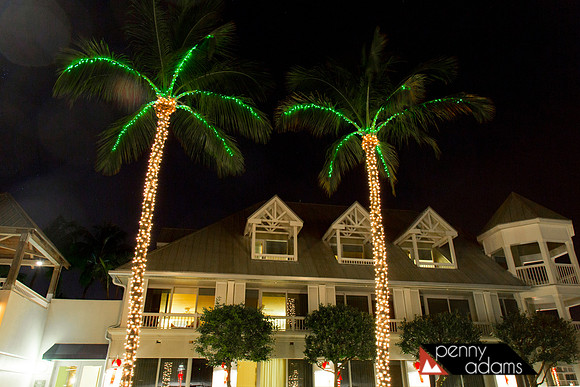 Christmas Palms, Key West, Florida