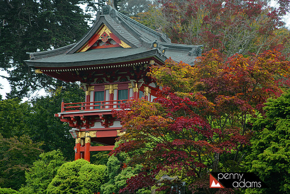 Temple Gate, Japanese Tea Garden, Golden Gate Park, San Francisco, California
