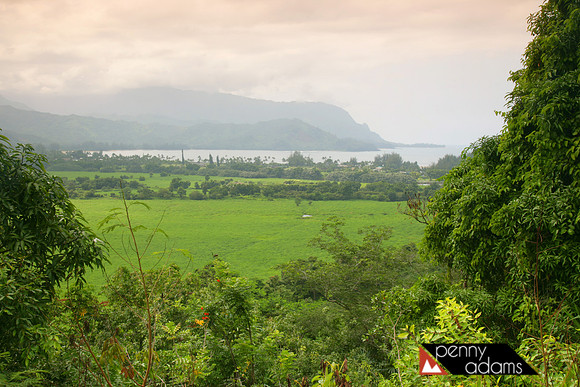 North Shore, Overlooking Hanalei, Kauai