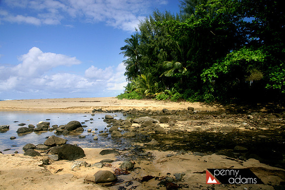 Stream Near Tunnels Beach, Kauai