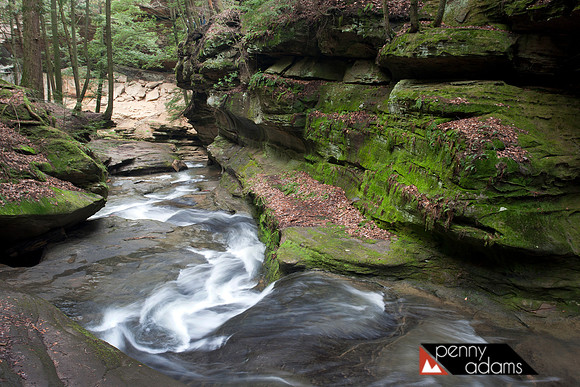 Gorge Near Old Man's Cave, Hocking Hills State Park, Ohio