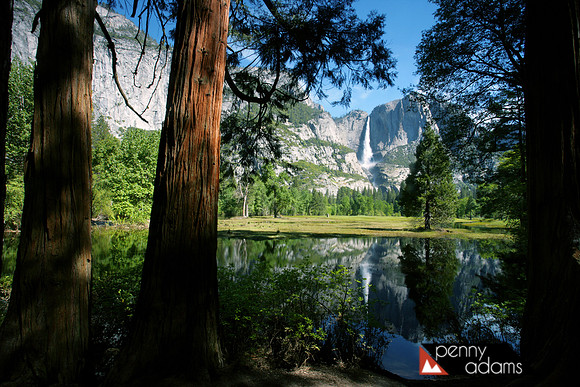 Upper Yosemite Falls from Swinging Bridge Shoreline, Yosemite, C