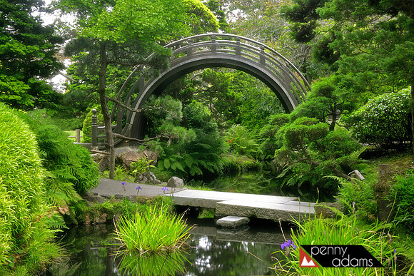 Drum Bridge, Japanese Tea Garden, Golden Gate Park, San Francisc