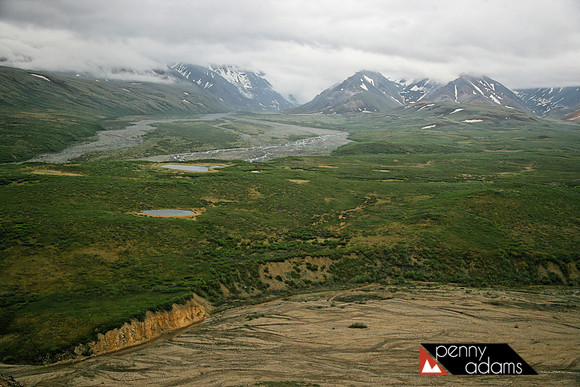 Polychrome Basin, Denali National Park, Alaska