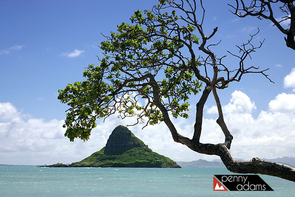 Chinaman's Hat, Island of Oahu, Hawaii