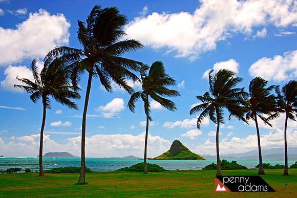 Chinaman's Hat, Island of Oahu, Hawaii