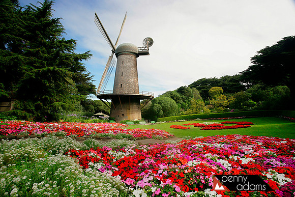North Dutch Windmill and Queen Wilhelmina Tulip Gardens, Golden Gate Park, San Francisco, California