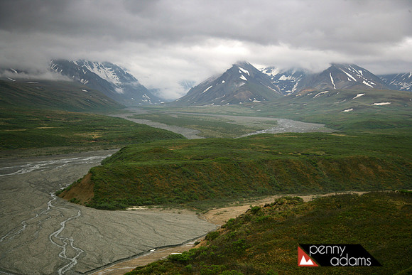 Polychrome Basin, Denali National Park, Alaska