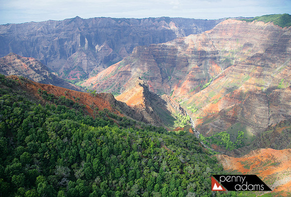 Waimea Canyon Sightseeing by Helicopter, Kauai