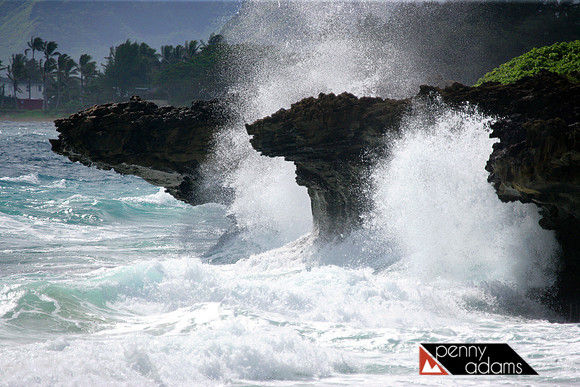 Waves Crashing the Shores of Pounder's Beach, Oahu, Hawaii