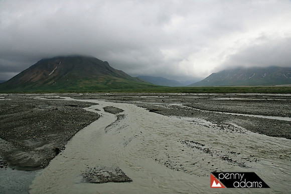 Denali National Park, Alaska