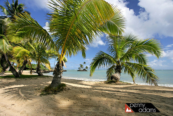 Wai'alae Beach Park, Oahu, Hawaii