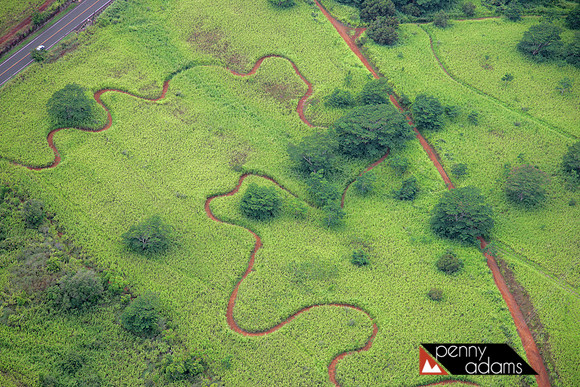 Kauai Patterns, Near Poipu, Kauai, Hawaii